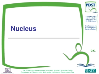 Nucleus