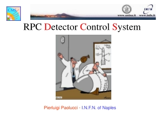 RPC  D etector  C ontrol  S ystem