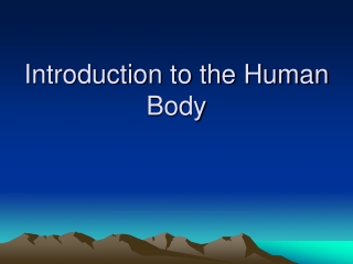 Introduction to the Human Body