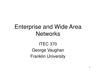 Enterprise and Wide Area Networks