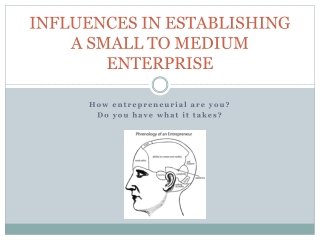 INFLUENCES IN ESTABLISHING A SMALL TO MEDIUM ENTERPRISE