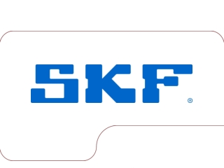 The SKF Group