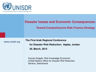 unisdr