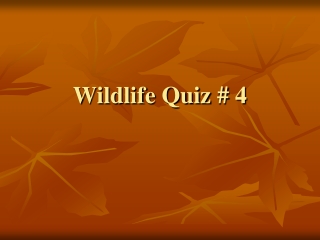 Wildlife Quiz # 4