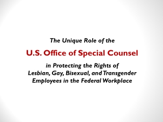 The Unique Role of the  U.S. Office of Special Counsel in Protecting the Rights of