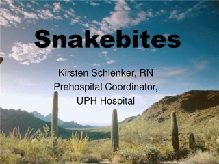 Snakebites