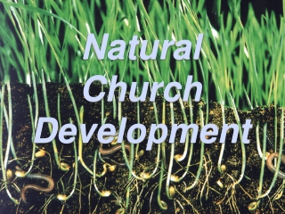 Natural Church Development