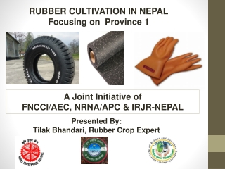 RUBBER CULTIVATION IN NEPAL Focusing on  Province 1