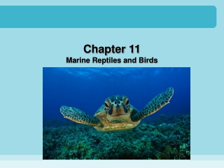 Chapter 11 Marine Reptiles and Birds