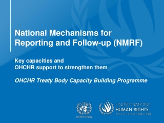 National Mechanisms for Reporting and Follow-up (NMRFs)