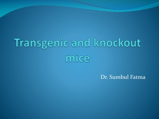 Transgenic and knockout mice