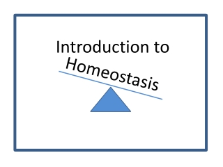 Homeostasis