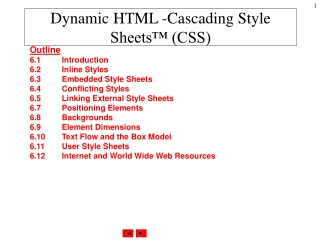 Dynamic HTML -Cascading Style Sheets™ (CSS)