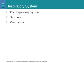 Respiratory System