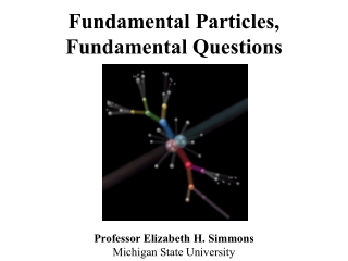 Fundamental Particles,   Fundamental Questions