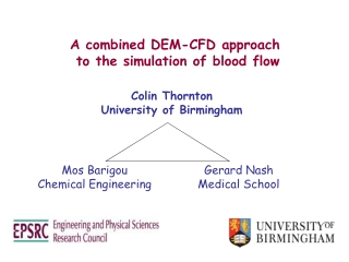 A combined DEM-CFD approach  to the simulation of blood flow