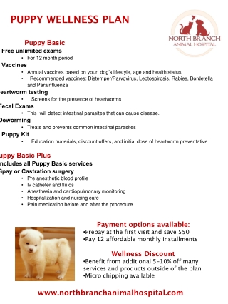 PUPPY WELLNESS PLAN