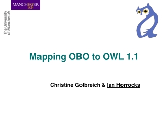 Mapping OBO to OWL 1.1