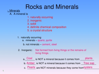 Rocks and Minerals