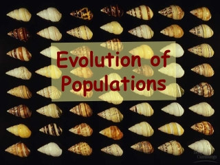 Evolution of Populations