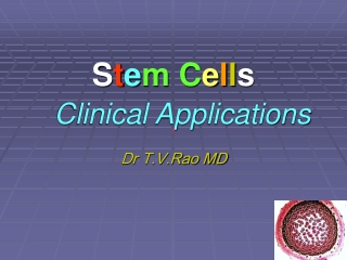 S t e m C e l l s Clinical Applications