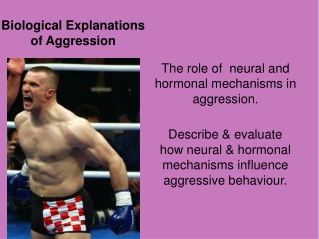 Biological Explanations of Aggression