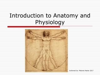 Introduction to Anatomy and Physiology