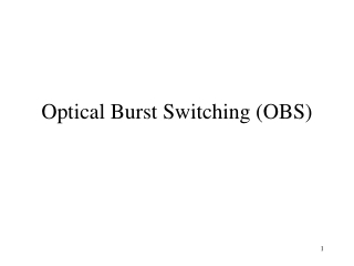 Optical Burst Switching (OBS)