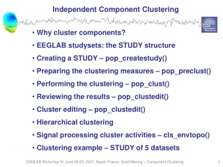 Independent Component Clustering