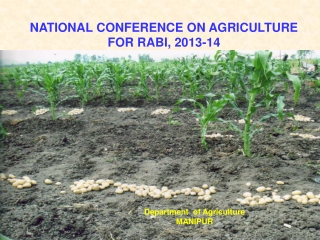 NATIONAL CONFERENCE ON AGRICULTURE  FOR RABI, 2013-14