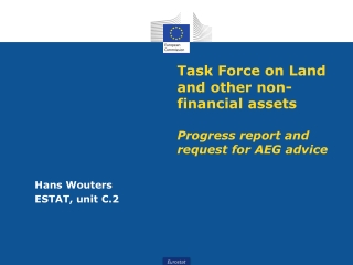 Task Force on Land and other non-financial assets Progress report and request for AEG advice