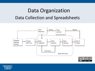 Data Organization