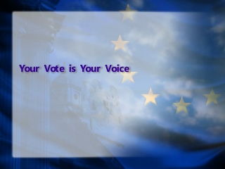 Your Vote is Your Voice