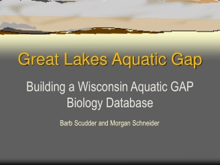 Great Lakes Aquatic Gap