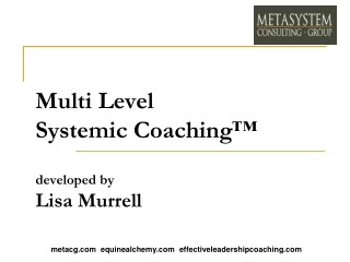 Multi Level  Systemic Coaching™ developed by Lisa Murrell