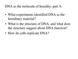 DNA as the molecule of heredity: part A