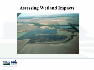 Assessing Wetland Impacts