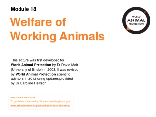 Welfare of Working Animals