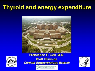 Thyroid and energy expenditure