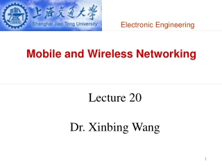 Mobile and Wireless Networking