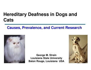 Hereditary Deafness in Dogs and Cats