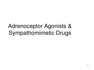 Adrenoceptor Agonists &amp; Sympathomimetic Drugs