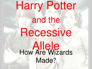 Harry Potter  and the Recessive Allele