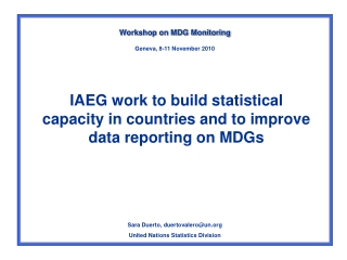 IAEG work to build statistical capacity in countries and to improve data reporting on MDGs