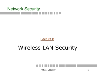 Wireless LAN Security