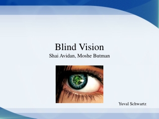 Blind Vision Shai Avidan, Moshe Butman
