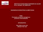 INSTITUTO TECNOL GICO SUPERIOR DE CALKIN EN EL ESTADO DE CAMPECHE