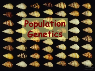 Population Genetics