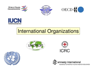 International Organizations