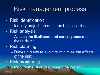 R isk  management process